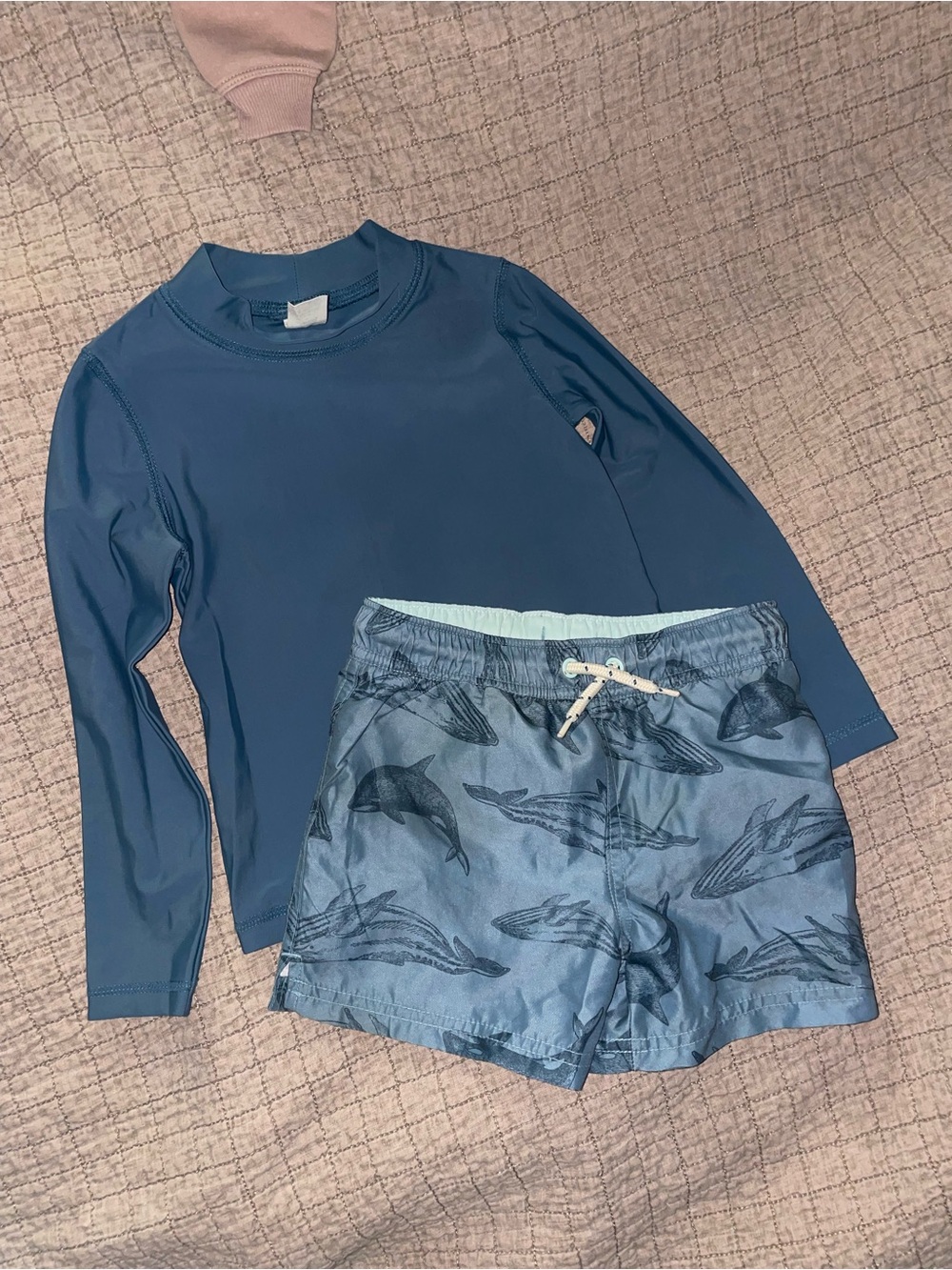 Kids Blue Dolphin Print Swim Trunks - Blue